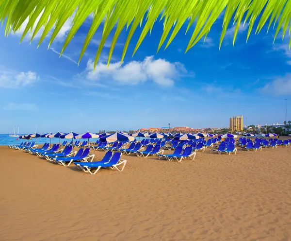 Beach Las vistas in Adeje Arona at Tenerife south — Stock Photo, Image