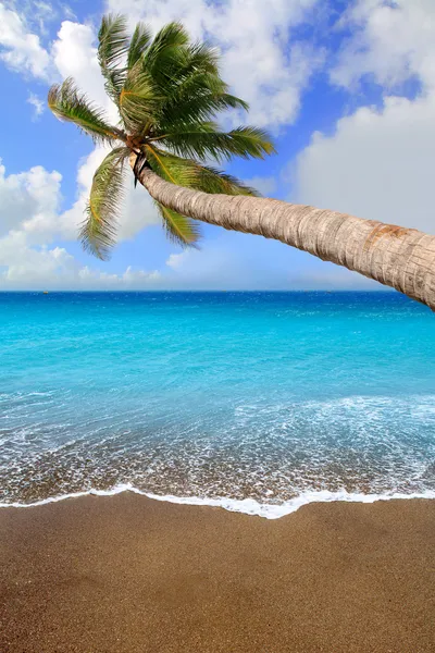 Canarische eilanden bruin zand strand tropische aqua — Stockfoto