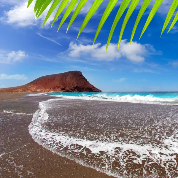 Plaj playa de la tejita Tenerife — Stok fotoğraf