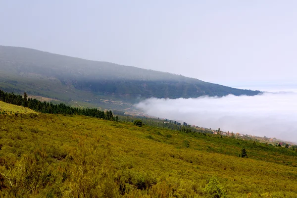 Vallée de l'Orotava avec mer de nuages dans la montagne de Tenerife — Photo