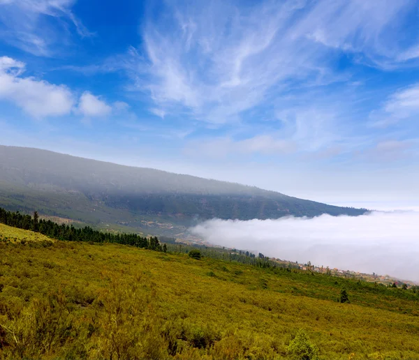 Orotava valley with sea of clouds in Tenerife mountain — Stock Photo, Image