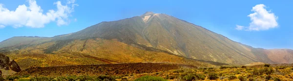 Teide nationaal park berg in tenerife — Stockfoto