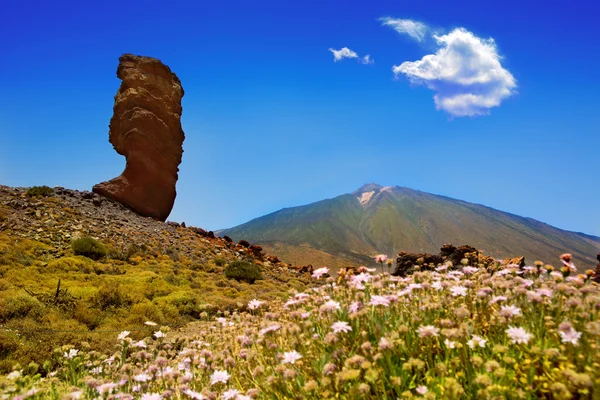 Teide nationalpark roques de garcia i Teneriffa — Stockfoto