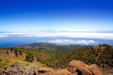 La palma caldera de taburiente deniz bulut