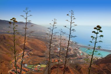 Hava santa cruz de la palma agav ile görüntüleme