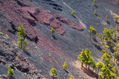 La palma krater san antonio yanardağ fuencaliente