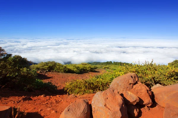 雲ラ ・ パルマ島のカルデラ デ タブリエンテ海 — ストック写真