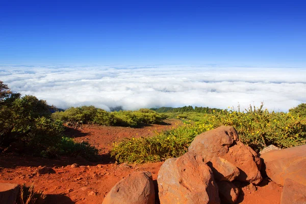 Caldera de taburiente deniz bulutlar la Palma — Stok fotoğraf