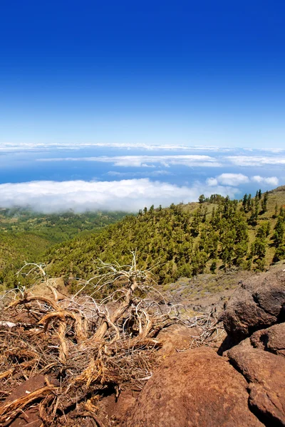 La Palma Caldera de Taburiente sea of clouds — Stock Photo, Image