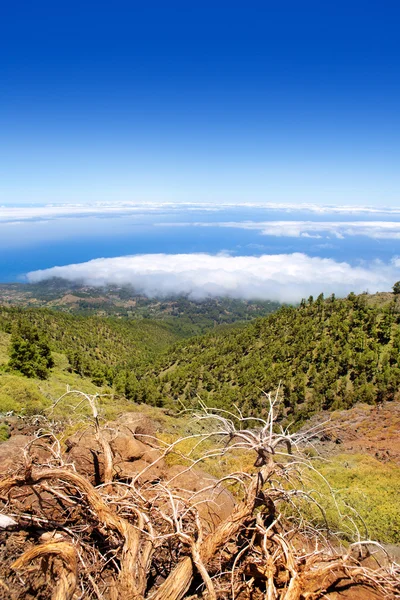 La Palma Caldera de Taburiente mar de nubes — Foto de Stock