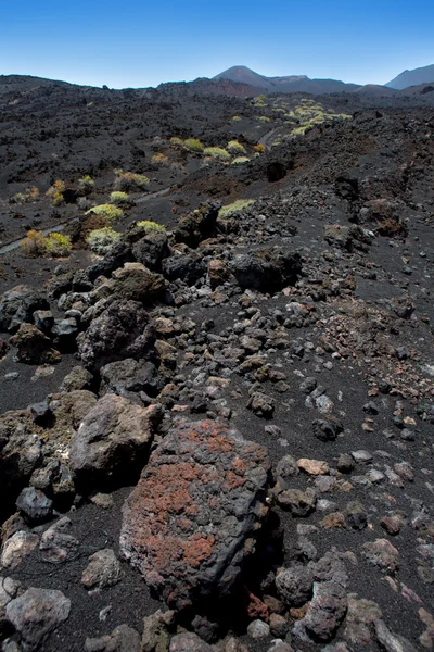 La palma 火山熔岩黑石头 — 图库照片