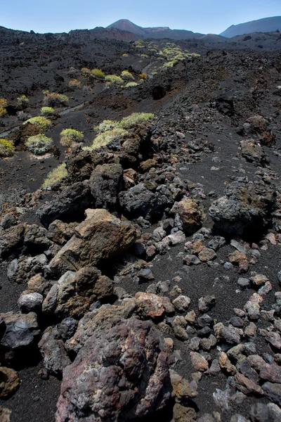 La palma černé sopečné lávové kameny — Stock fotografie