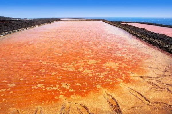 La Palma Salinas de fuencaliente saltworks — Stock Photo, Image