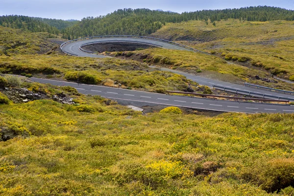 Curvas de estrada de enrolamento de montanha verde — Fotografia de Stock