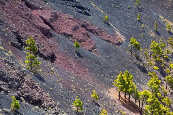 ラ ・ パルマ島の火口サン アントニオ火山フエンカリエンテ — ストック写真