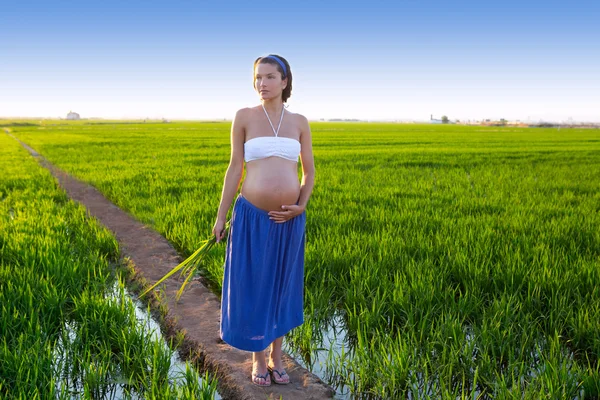 아름 다운 임신한 여자 야외 자연 산책 — 스톡 사진