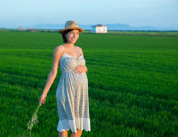 Mulher grávida bonita andando ao ar livre natureza — Fotografia de Stock