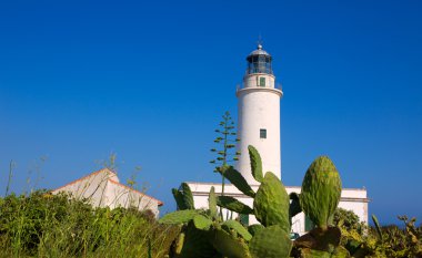 Ibiza yakınındaki Formentera la mola deniz feneri