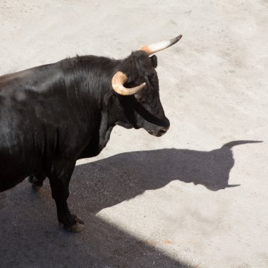 running of the bulls at street fest in Spain clipart