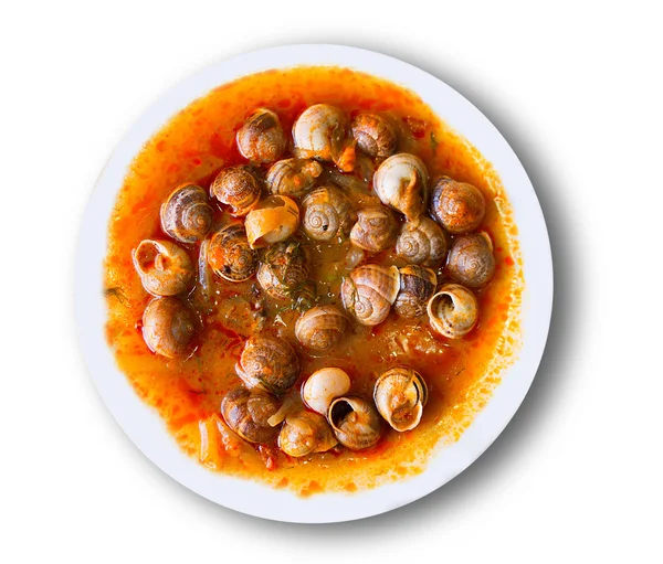 Dish of snails prepared at spanish style — Stock Photo, Image