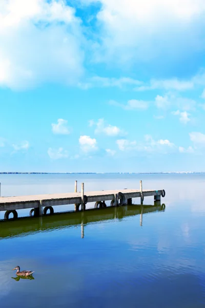 Albufera see in valencia el saler — Stockfoto