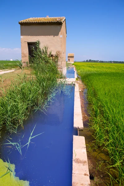 Rice fields in Valencia with irrigation and warehouse — Stock Photo, Image