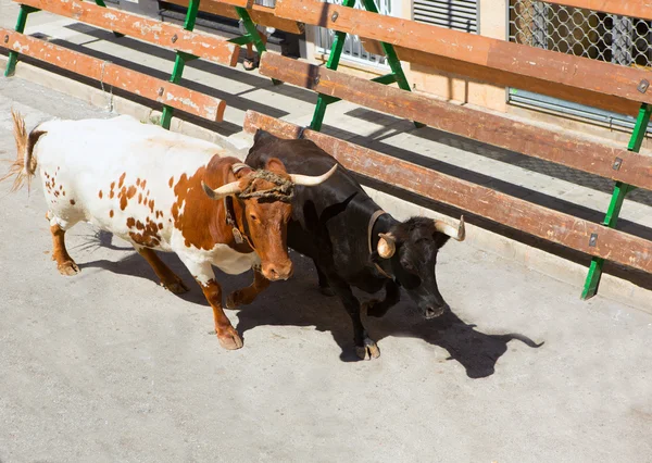 Running of the bulls at street fest in Spain — Stock Photo, Image