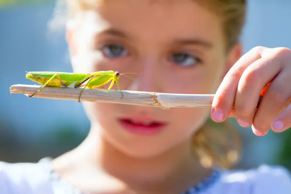 Naturalistiska biolog kid flicka söker praying mantis — Stockfoto