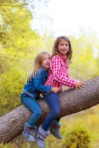 Діти друзі дівчата піднімаються на сосновий стовбур дерева — стокове фото