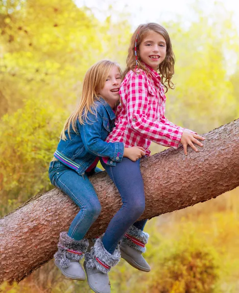 Children friends girls climbing to a pine tree trunk — Stock Photo, Image