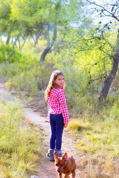 犬と松の森を歩く子供の女の子 — ストック写真