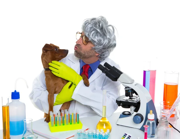 Crazy nörd vetenskapsman fåniga veterinärmedicinska man med hund på lab — Stockfoto