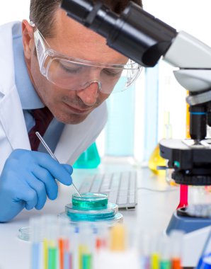 Laboratuvar bilim laboratuarında test tüpleri ile çalışma