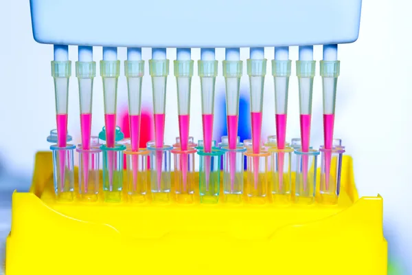 Chemical scientific laboratory multi channel pipette — Stock Photo, Image