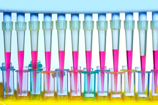 Chemische wetenschappelijk laboratorium multi kanaal pipet — Stockfoto