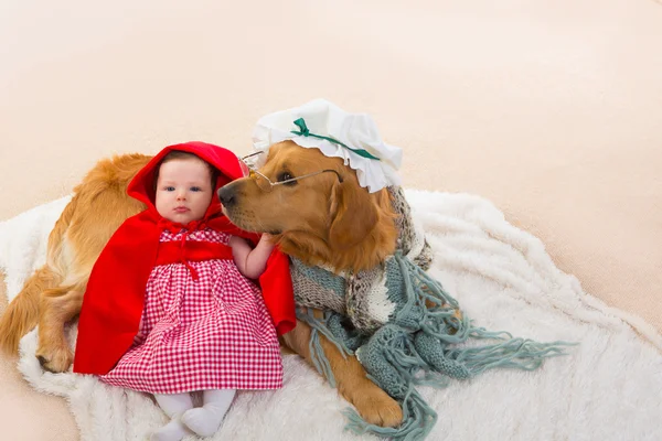 Baby kleine rode paardrijden kap met wolf hond als oma — Stockfoto