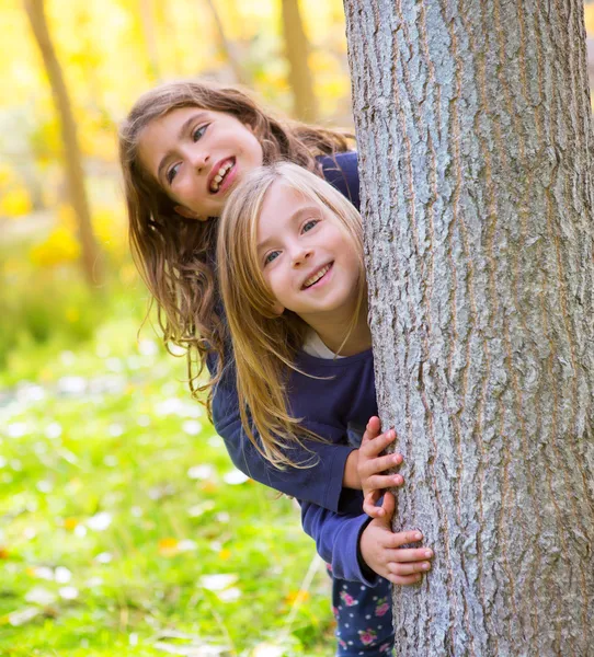 Höstens syster kid flickor leker i skogen trunk utomhus — Stockfoto