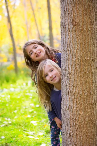 秋の姉妹子供の森トランク屋外で遊ぶ女の子 — ストック写真
