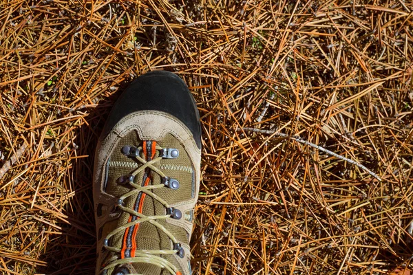 Detalhe de bota de pés de explorador de vime em agulhas secas de pinheiro — Fotografia de Stock