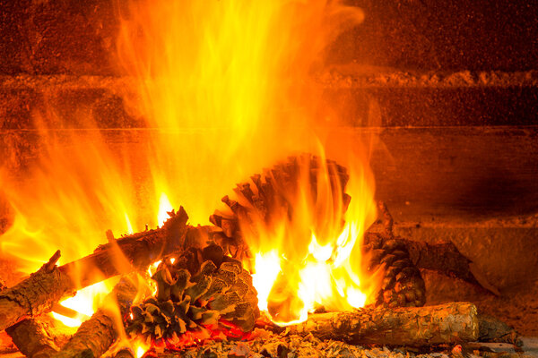 burning firewood in chimney with pine cones