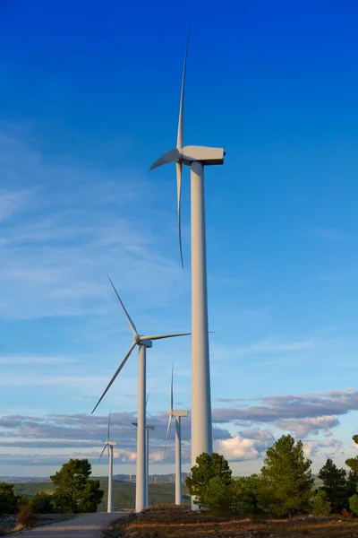 Moulins à vent énergie électrique verte dans le ciel bleu montagne pin — Photo