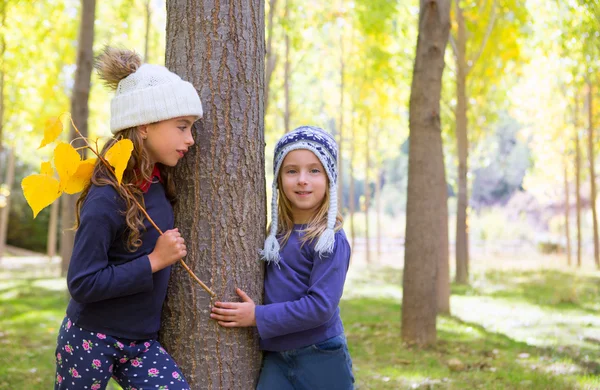 Höstens syster kid flickor leker i skogen trunk utomhus — Stockfoto