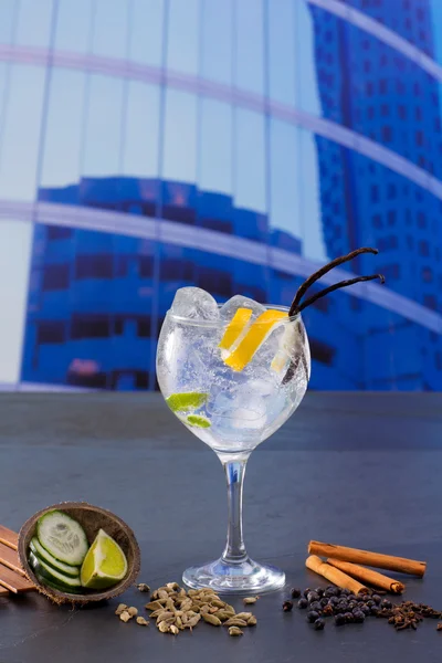 Gin tonic cocktail with spices in urban city buildings — Stock Photo, Image