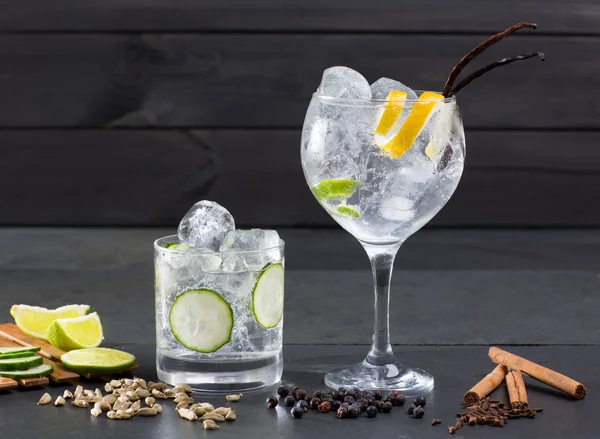 Cóctel Gin tonic con pepino lima clavo de vainilla cardamomo — Foto de Stock