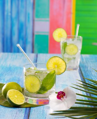 Küba mojito tropikal mavi ahşap çiçek ve denizyıldızı kokteyl