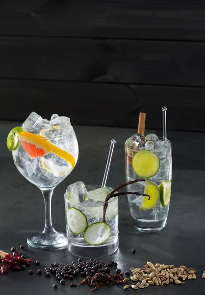 Gin tonic cocktails with lima cucumber and grapefruit — Stock Photo, Image