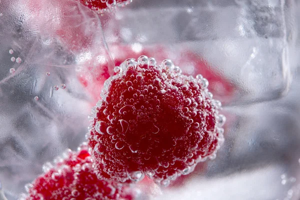 Gin tonic cocktail with raspberry and ice macro closeup — Stock Photo, Image