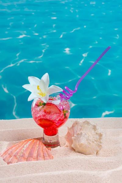 Tropical red cocktail on caribbean sand flower and seashell — Stock Photo, Image