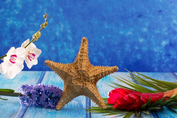 Estrela-do-mar com flor jacinto e orquídea branca em madeira azul — Fotografia de Stock