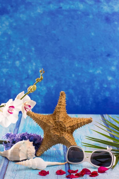 Starfish seashells with hyacinth flower and white orchid — Stock Photo, Image